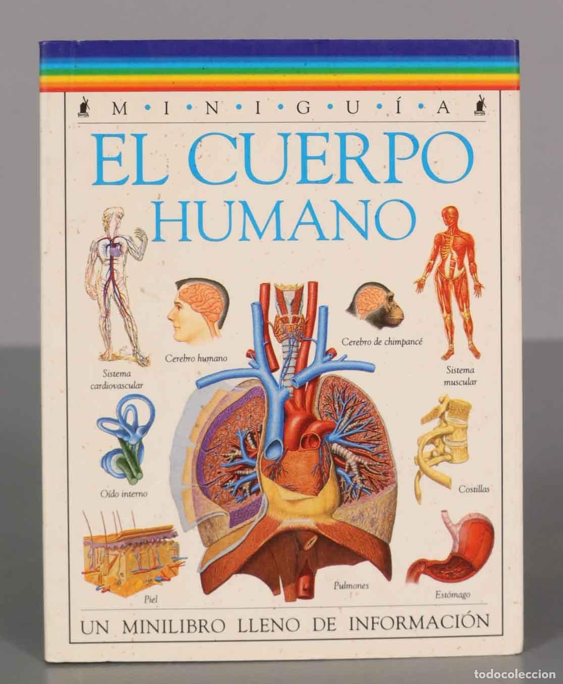 Libros de segunda mano: El cuerpo humano Sarah Brewer - Foto 1