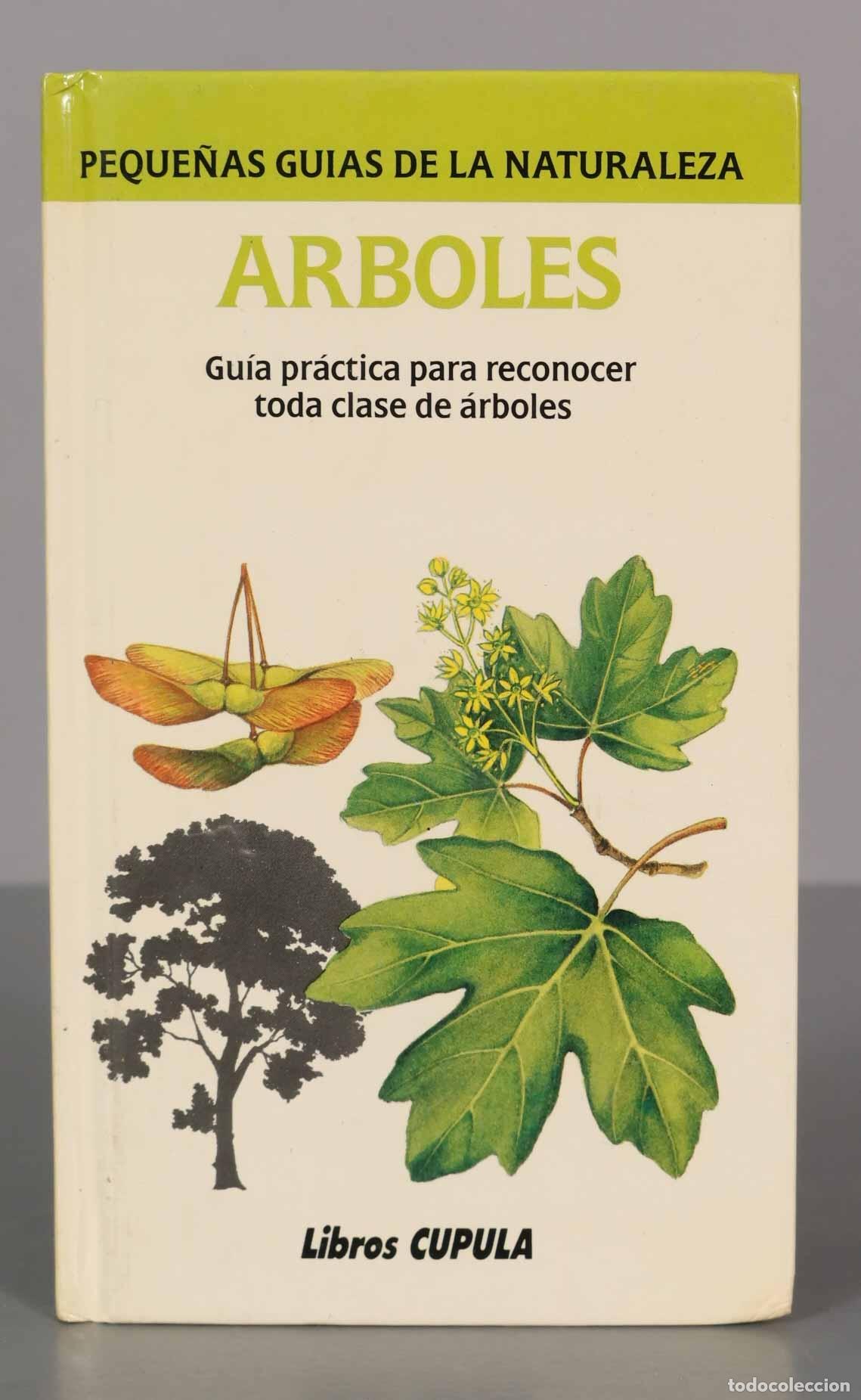 Libros de segunda mano: Arboles Forey, Pamela - Foto 1