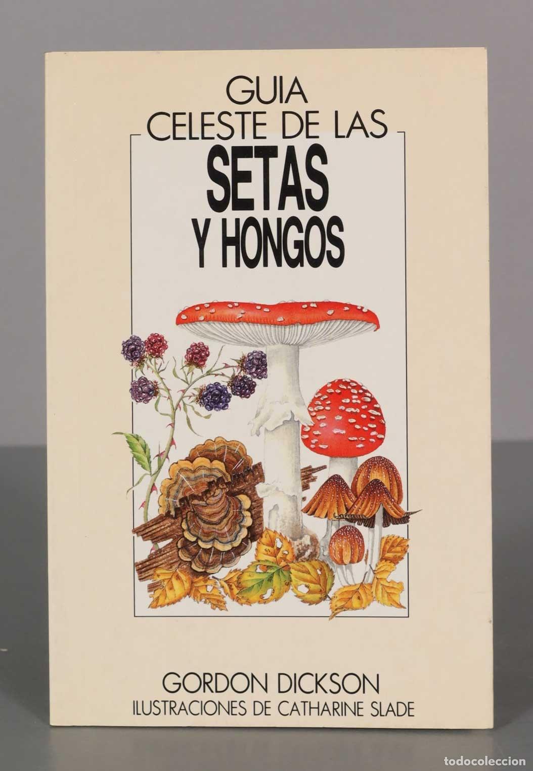 Libros de segunda mano: GUIA CELESTE DE LAS SETAS Y HONGOS - Foto 1