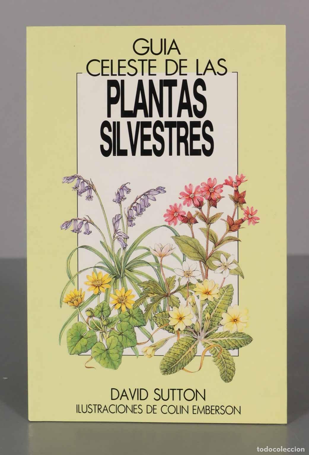 Libros de segunda mano: Gu&iacute;a Celeste de las plantas silvestres David Sutton - Foto 1