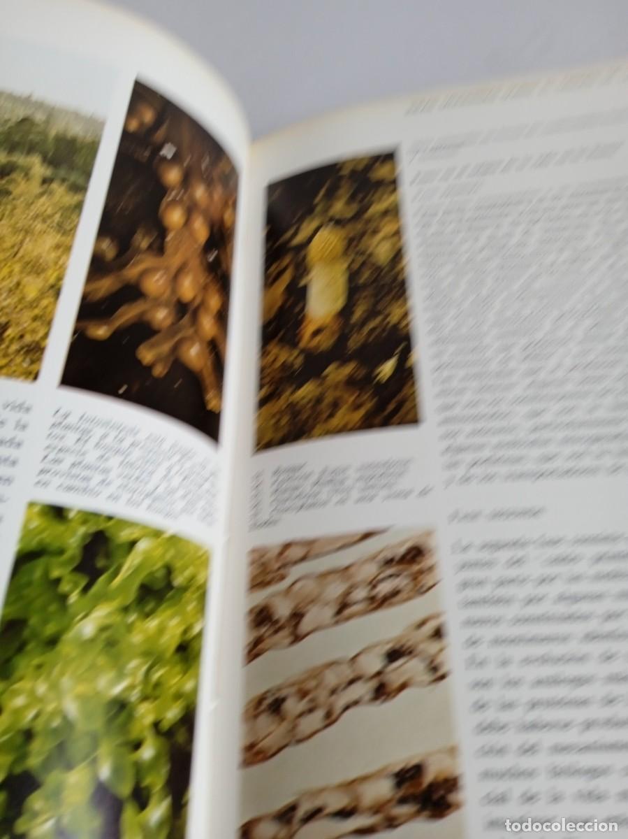 Libros de segunda mano: EL ORIGEN DE LA VIDA J.D. Bernal - Foto 7