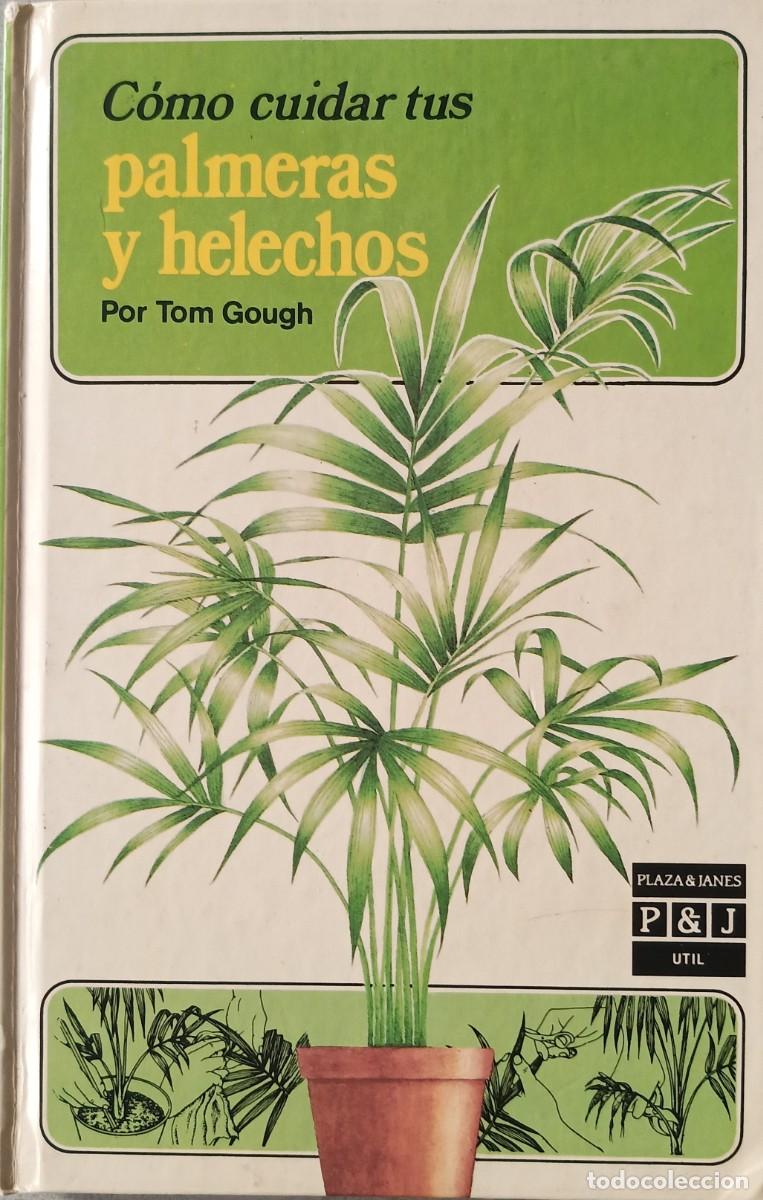 Libros de segunda mano: C&oacute;mo cuidar tus palmeras y helechos. Tom Gough. - Foto 1