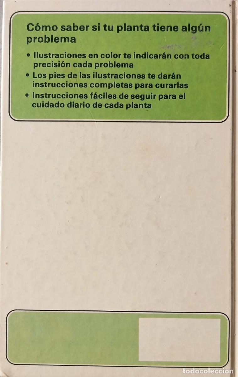 Libros de segunda mano: C&oacute;mo cuidar tus palmeras y helechos. Tom Gough. - Foto 2