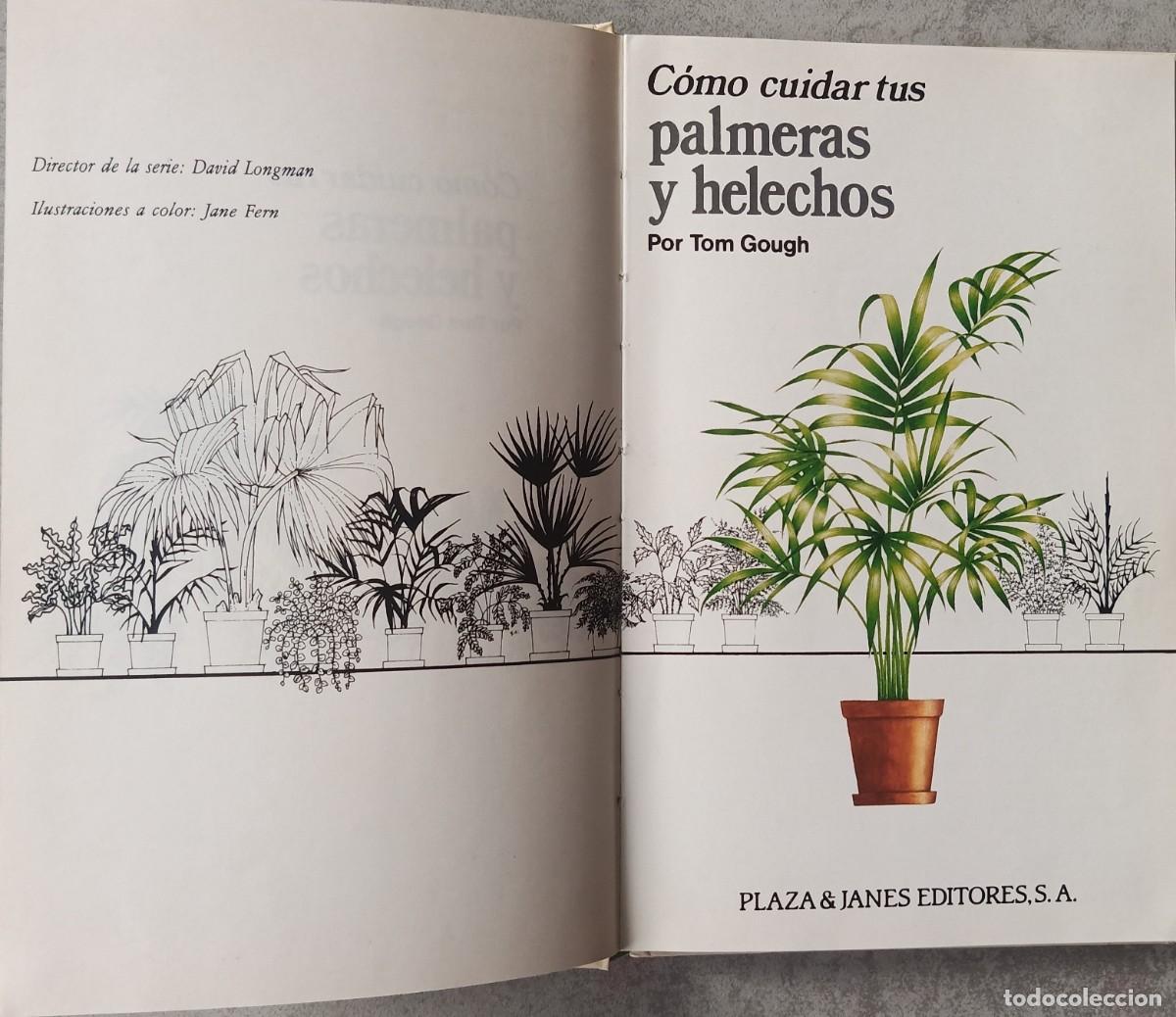 Libros de segunda mano: C&oacute;mo cuidar tus palmeras y helechos. Tom Gough. - Foto 3