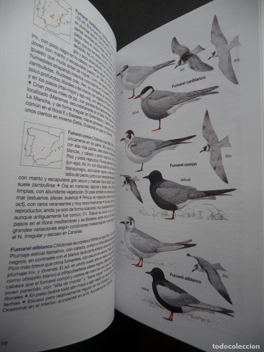 Libros de segunda mano: AVES DE ESPA&Ntilde;A . EDUARDO DE JUANA Y JUAN M. VARELA - Foto 6