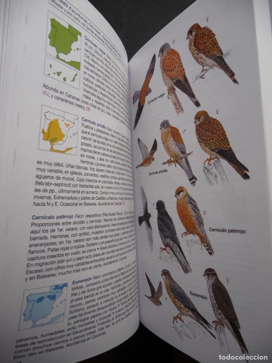 Libros de segunda mano: AVES DE ESPA&Ntilde;A . EDUARDO DE JUANA Y JUAN M. VARELA - Foto 7