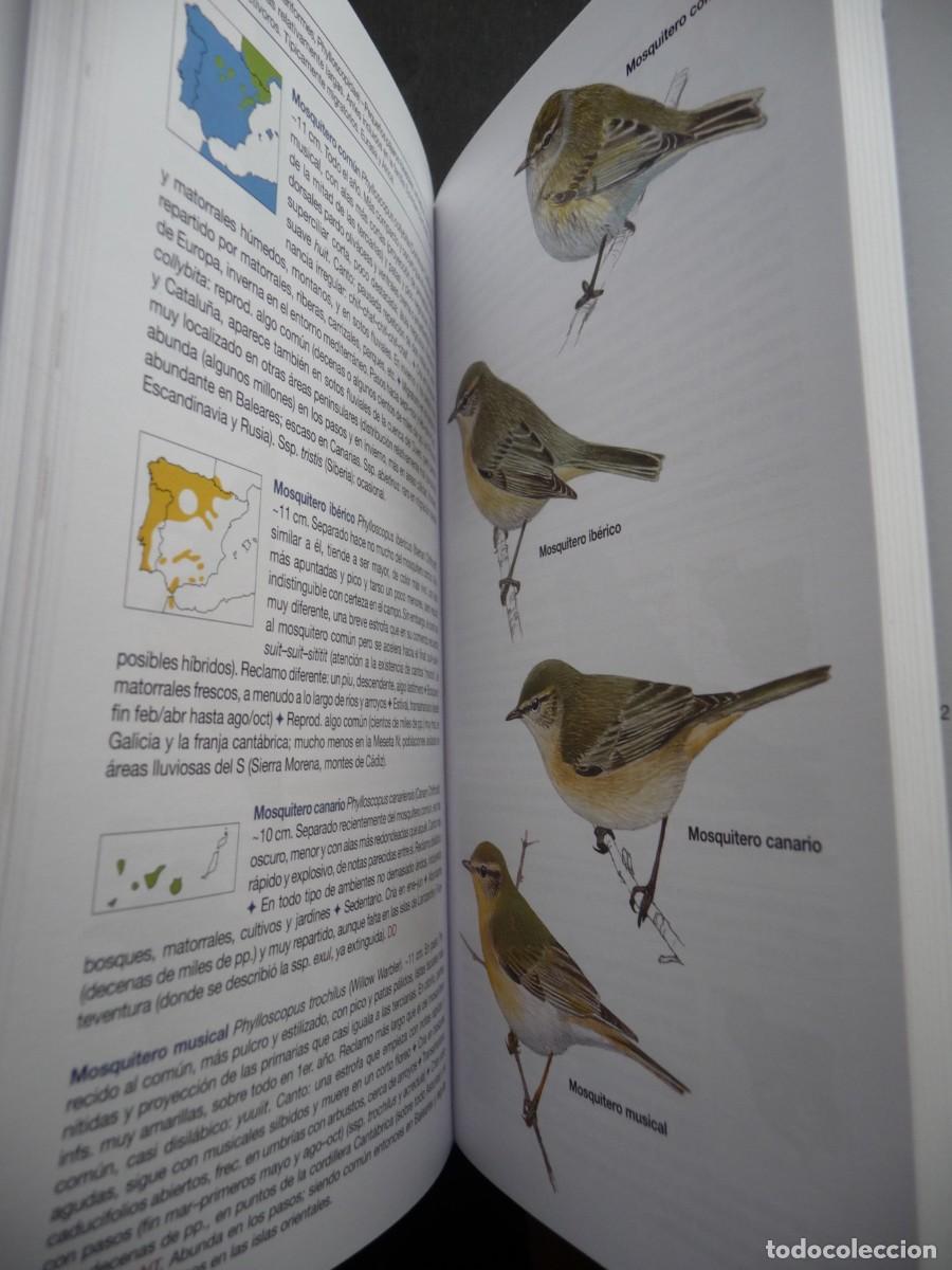 Libros de segunda mano: AVES DE ESPA&Ntilde;A . EDUARDO DE JUANA Y JUAN M. VARELA - Foto 8