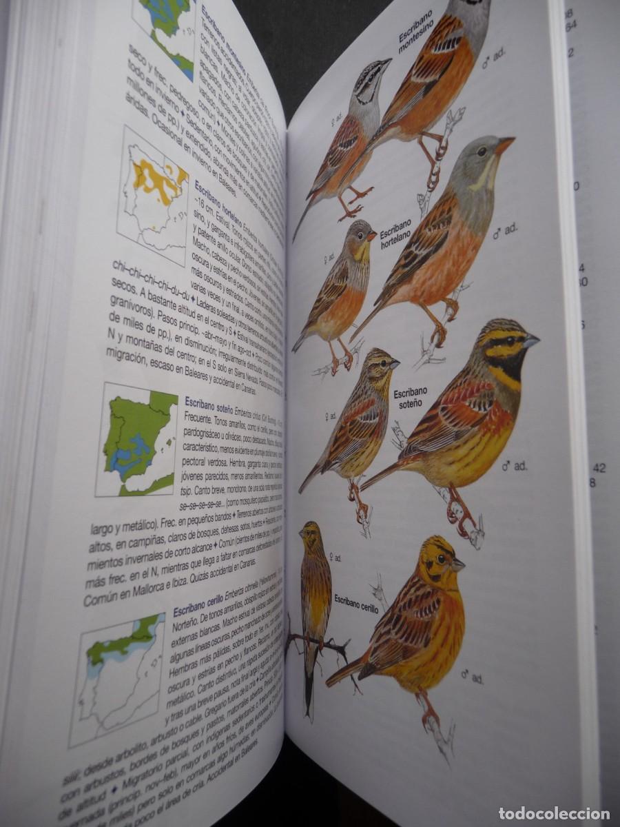 Libros de segunda mano: AVES DE ESPA&Ntilde;A . EDUARDO DE JUANA Y JUAN M. VARELA - Foto 9