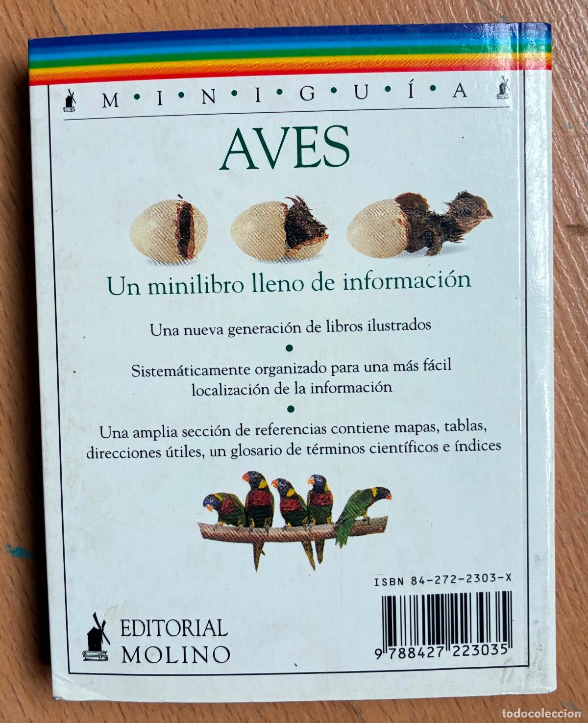 Libros de segunda mano: AVES, MINI GUIA, Editorial Molino - Foto 2