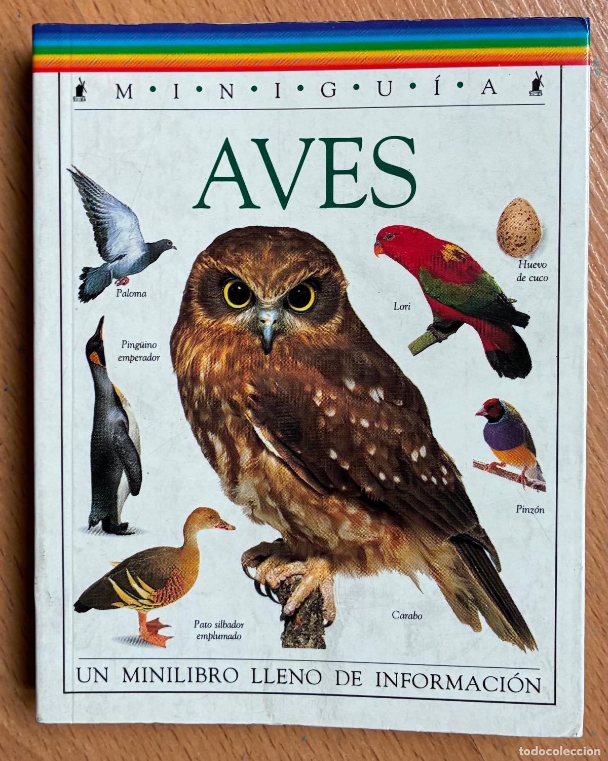 Libros de segunda mano: AVES, MINI GUIA, Editorial Molino - Foto 1