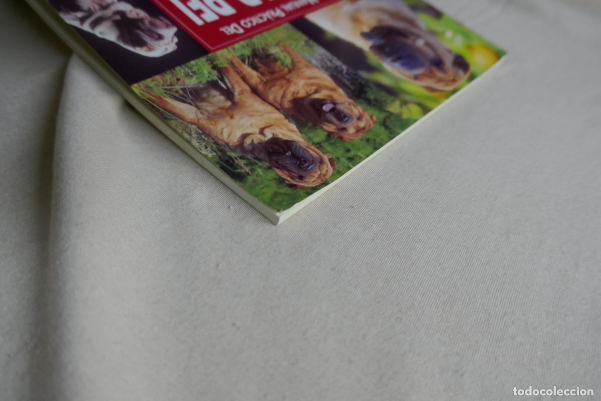 Libros de segunda mano: Manual Pr&aacute;ctico del Shar-Pei - Devin Hunter - Foto 3