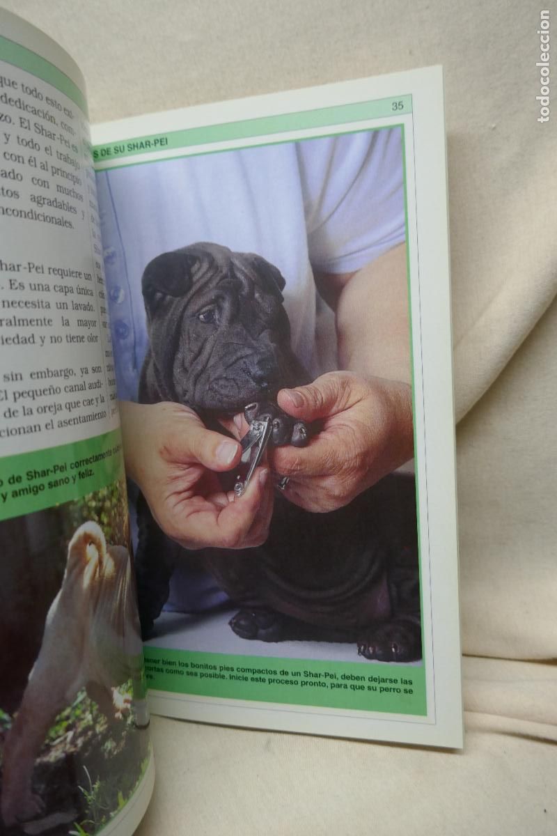 Libros de segunda mano: Manual Pr&aacute;ctico del Shar-Pei - Devin Hunter - Foto 9