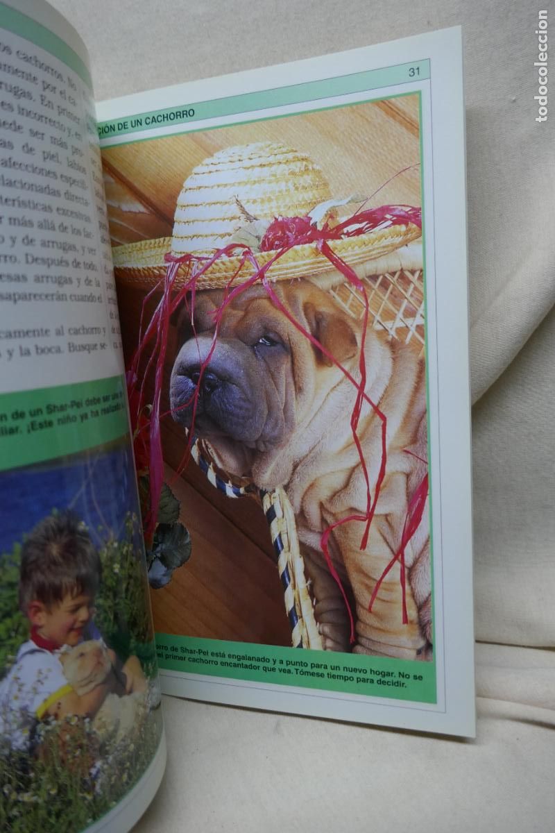 Libros de segunda mano: Manual Pr&aacute;ctico del Shar-Pei - Devin Hunter - Foto 10