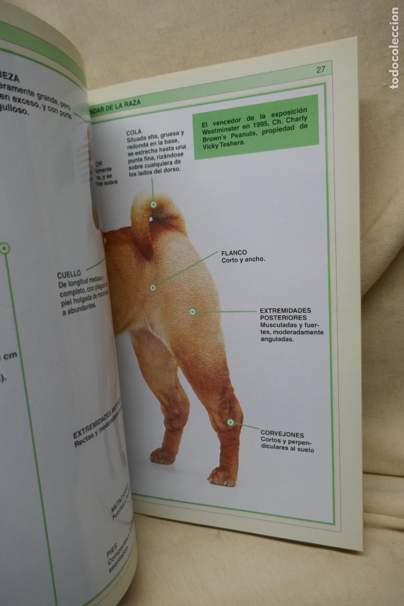 Libros de segunda mano: Manual Pr&aacute;ctico del Shar-Pei - Devin Hunter - Foto 11