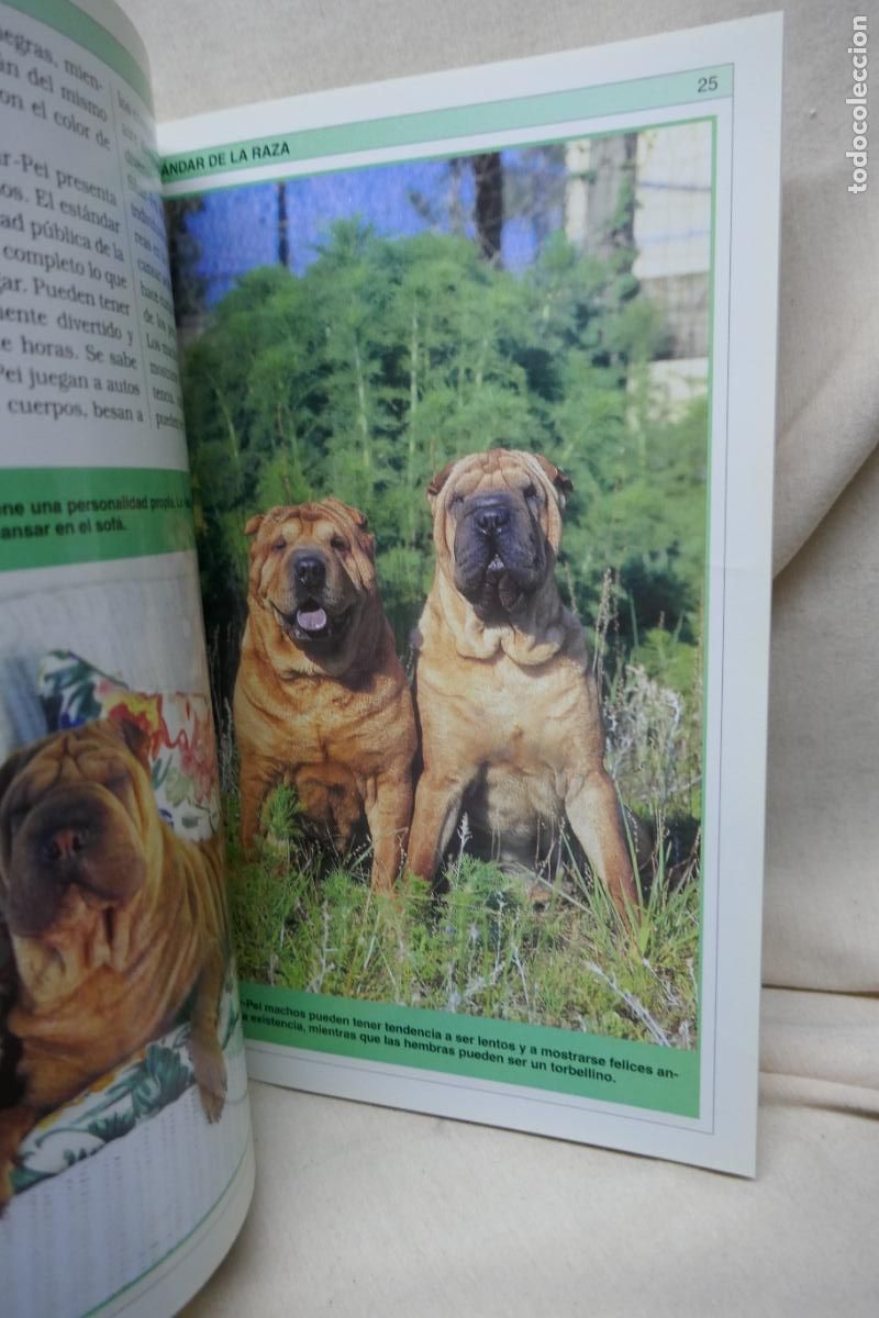 Libros de segunda mano: Manual Pr&aacute;ctico del Shar-Pei - Devin Hunter - Foto 12