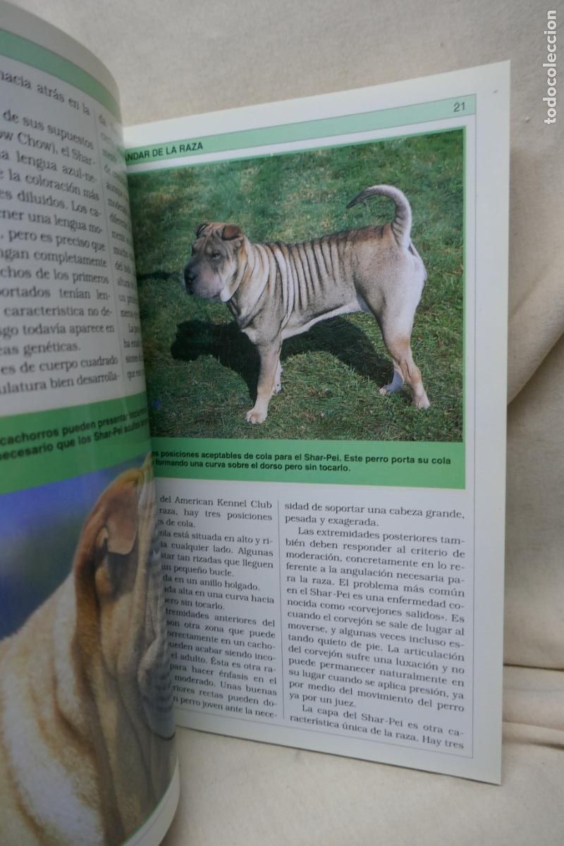 Libros de segunda mano: Manual Pr&aacute;ctico del Shar-Pei - Devin Hunter - Foto 13