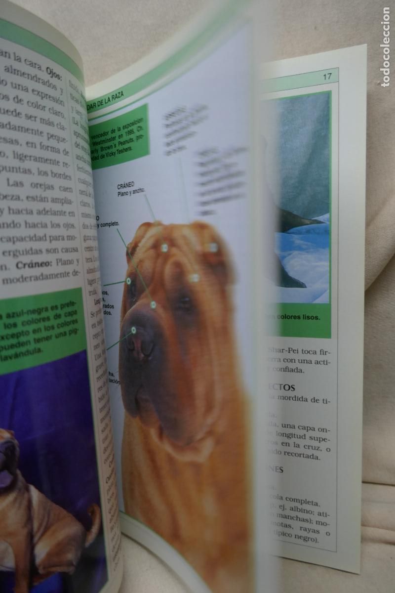 Libros de segunda mano: Manual Pr&aacute;ctico del Shar-Pei - Devin Hunter - Foto 14