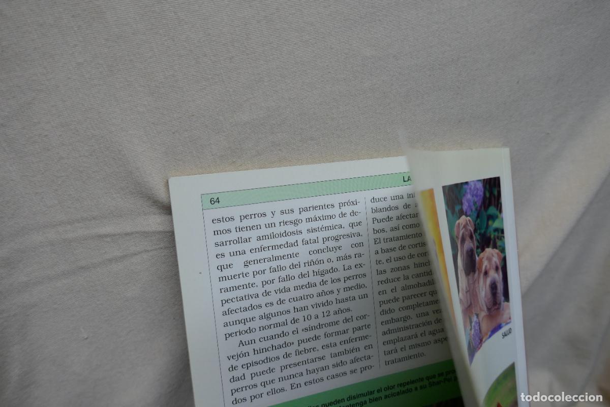 Libros de segunda mano: Manual Pr&aacute;ctico del Shar-Pei - Devin Hunter - Foto 16