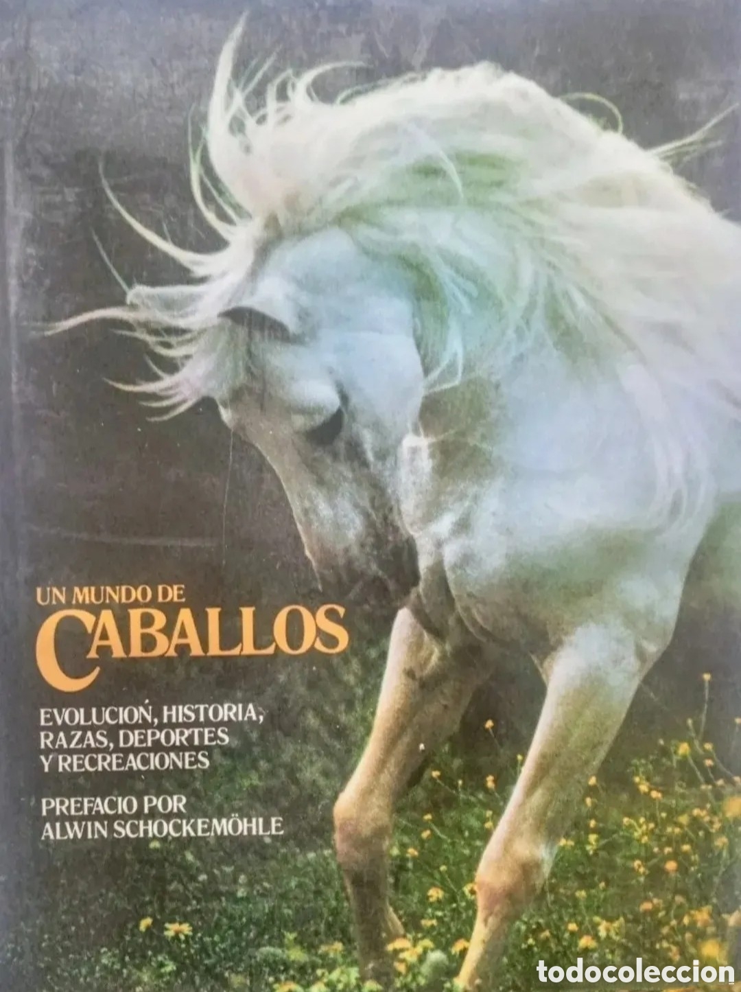 Libros de segunda mano: &rdquo;Un mundo de caballos&rdquo; - Foto 1