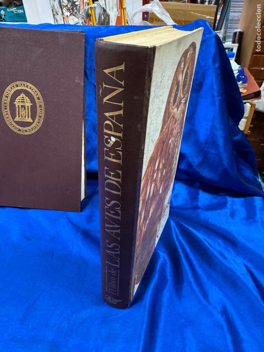 Libros de segunda mano: EL LIBRO DE LAS AVES DE ESPA&Ntilde;A - Foto 3
