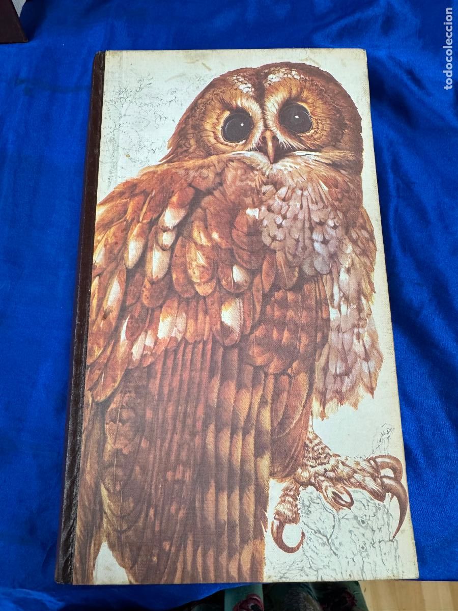 Libros de segunda mano: EL LIBRO DE LAS AVES DE ESPA&Ntilde;A - Foto 1
