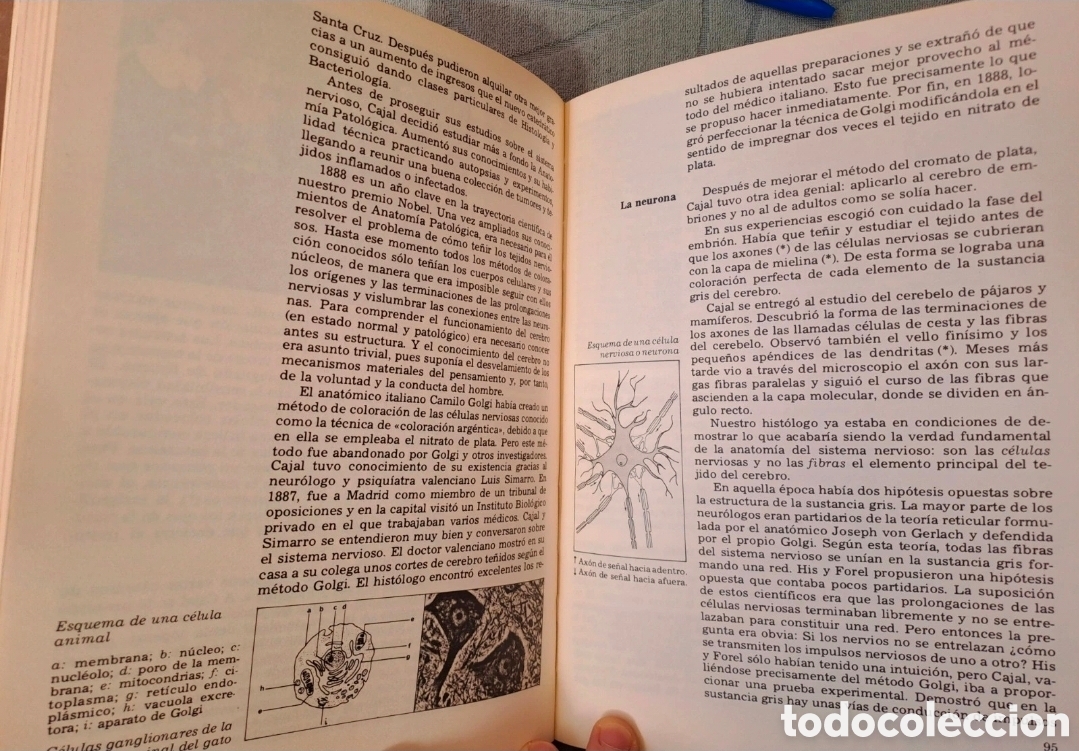 Libros de segunda mano de ciencias: Caminos abiertos por Ram&oacute;n y Cajal - Foto 3