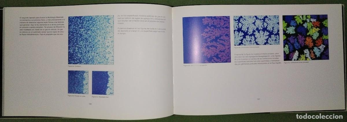 Libros de segunda mano de ciencias: FOTOGRAFIANDO LAS MATEM&Aacute;TICAS - Foto 8