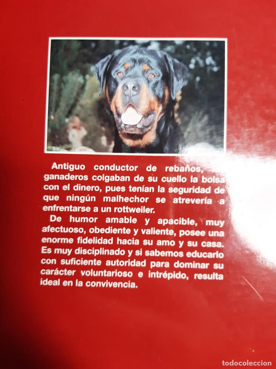 Libros de segunda mano: MI ROTTWEILER Y YO - EDUARDO DE BENITO RUIZ - Foto 4