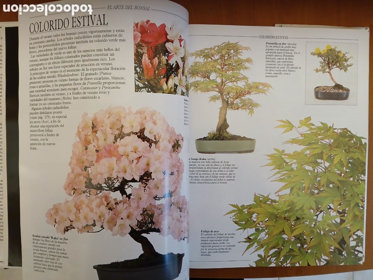 Libros de segunda mano: Tratado Pr&aacute;ctico de Bonsai. Harry Tomlinson. - Foto 5