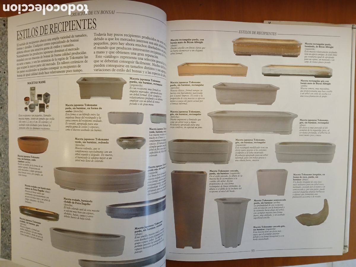 Libros de segunda mano: Tratado Pr&aacute;ctico de Bonsai. Harry Tomlinson. - Foto 7