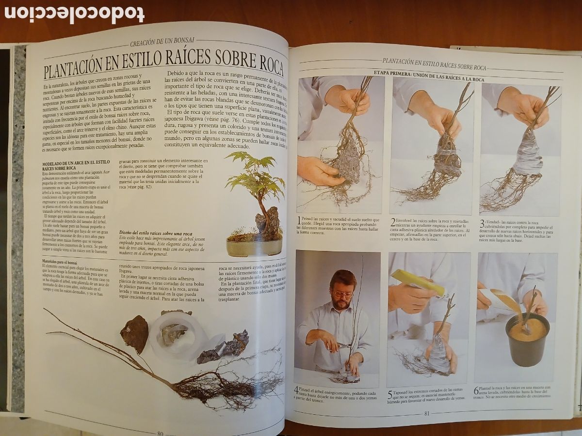Libros de segunda mano: Tratado Pr&aacute;ctico de Bonsai. Harry Tomlinson. - Foto 8