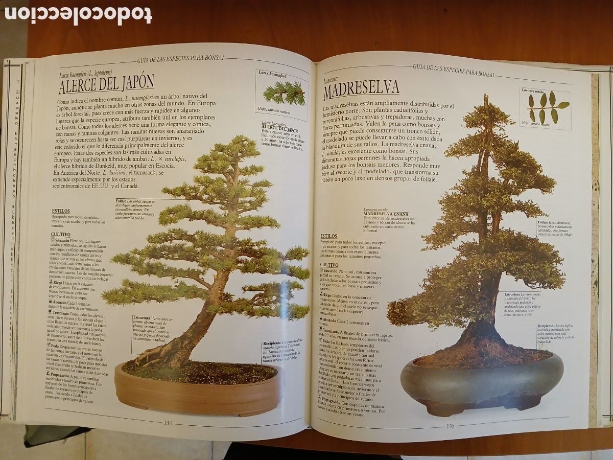 Libros de segunda mano: Tratado Pr&aacute;ctico de Bonsai. Harry Tomlinson. - Foto 10