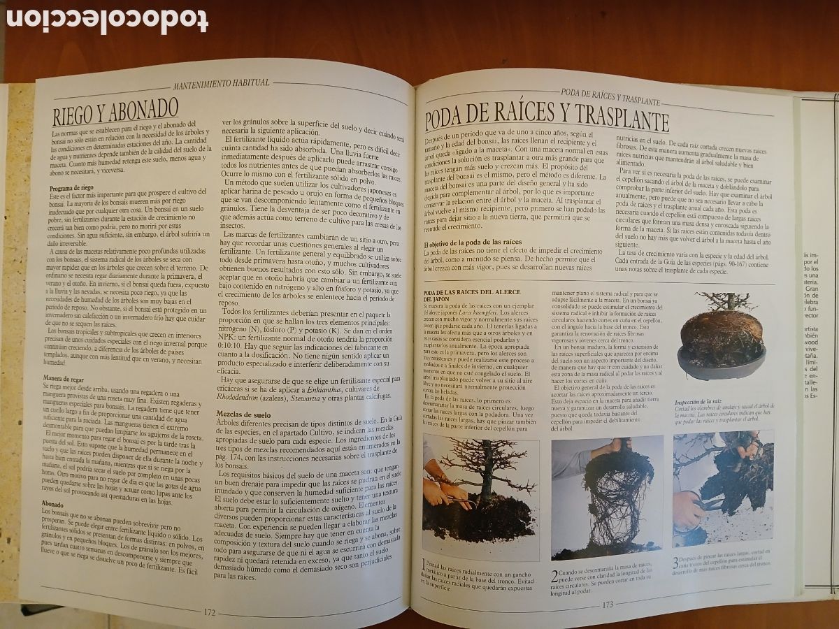 Libros de segunda mano: Tratado Pr&aacute;ctico de Bonsai. Harry Tomlinson. - Foto 11