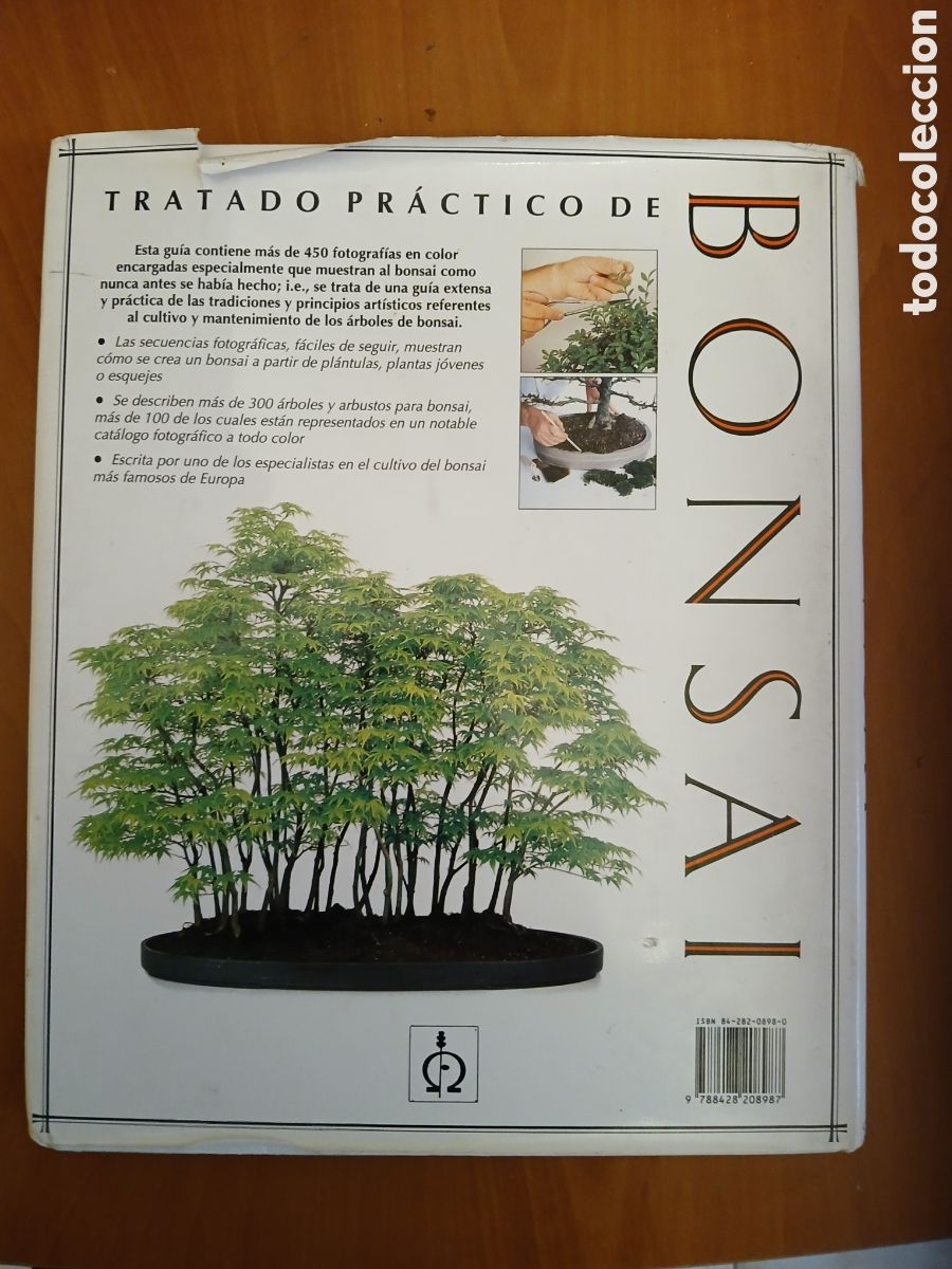 Libros de segunda mano: Tratado Pr&aacute;ctico de Bonsai. Harry Tomlinson. - Foto 1