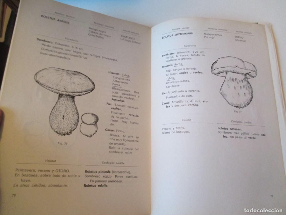 Libros de segunda mano: JOS&Eacute; MANEL PERALA SANTOLARIA Setas W37382 - Foto 2