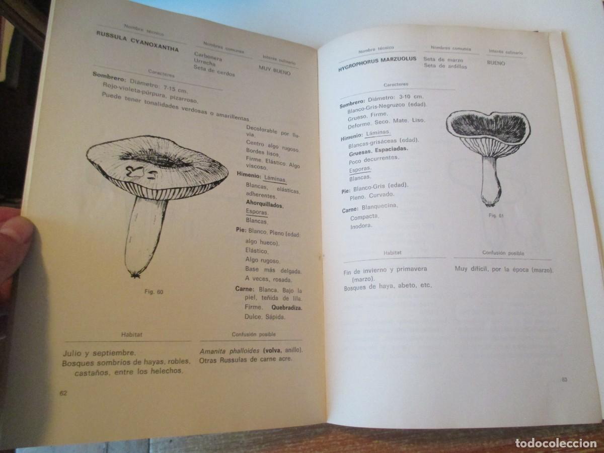 Libros de segunda mano: JOS&Eacute; MANEL PERALA SANTOLARIA Setas W37382 - Foto 3