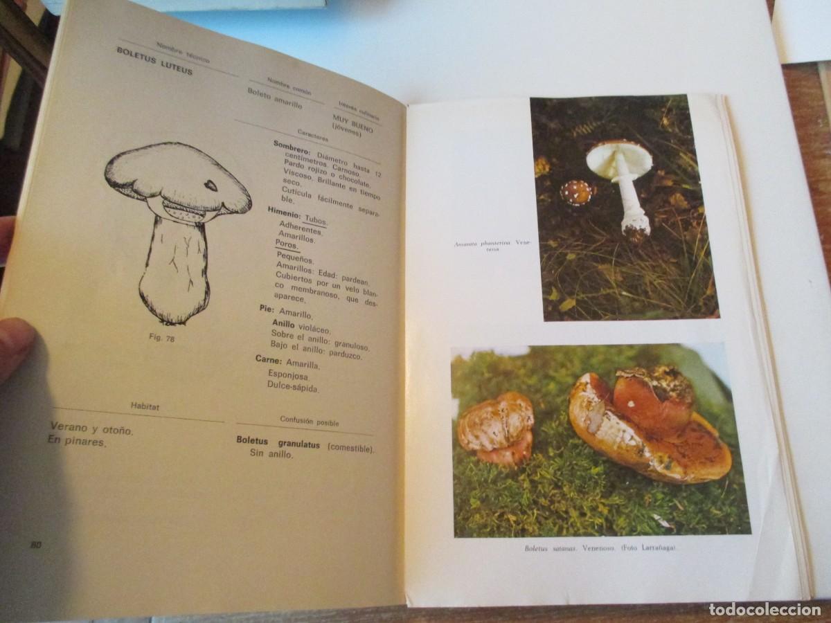 Libros de segunda mano: JOS&Eacute; MANEL PERALA SANTOLARIA Setas W37382 - Foto 4