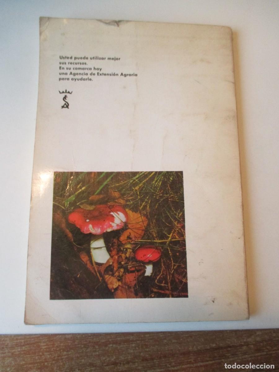 Libros de segunda mano: JOS&Eacute; MANEL PERALA SANTOLARIA Setas W37382 - Foto 5