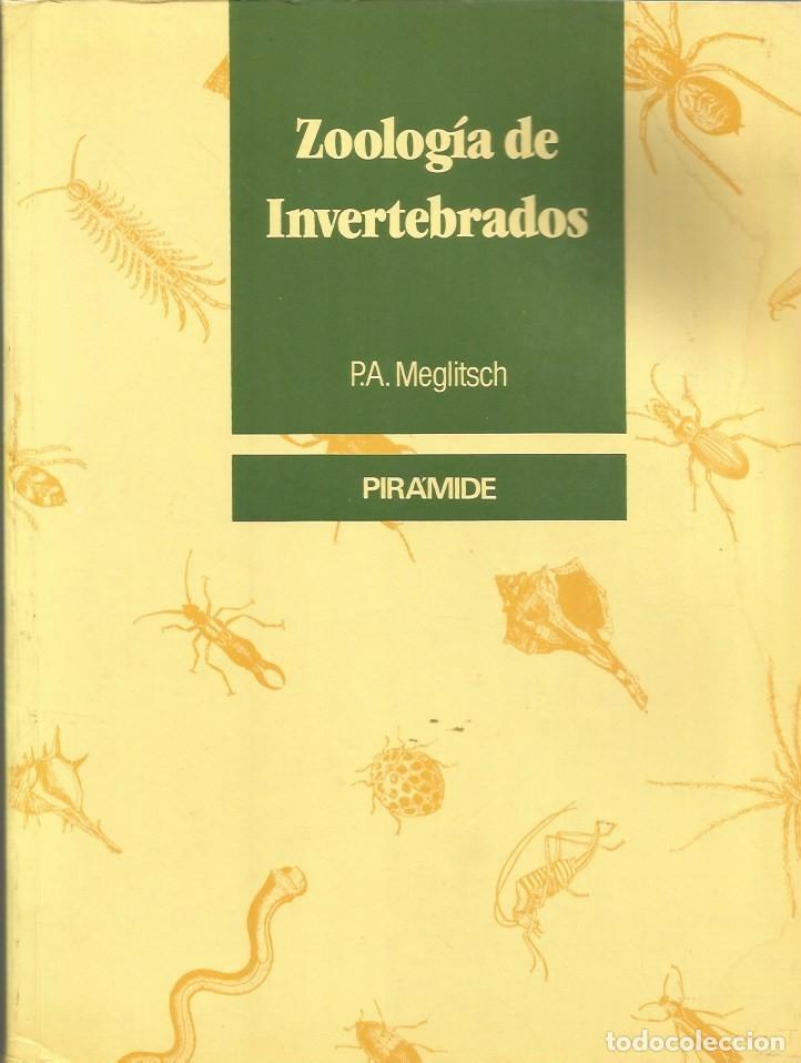 Libros de segunda mano: ZOOLOG&Iacute;A DE INVERTEBRADOS - P.A. MEGLITSCH - Foto 1