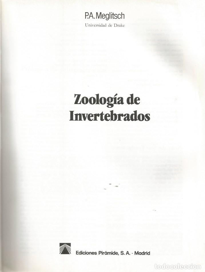 Libros de segunda mano: ZOOLOG&Iacute;A DE INVERTEBRADOS - P.A. MEGLITSCH - Foto 2