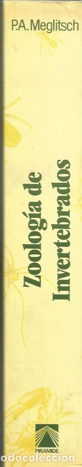 Libros de segunda mano: ZOOLOG&Iacute;A DE INVERTEBRADOS - P.A. MEGLITSCH - Foto 4