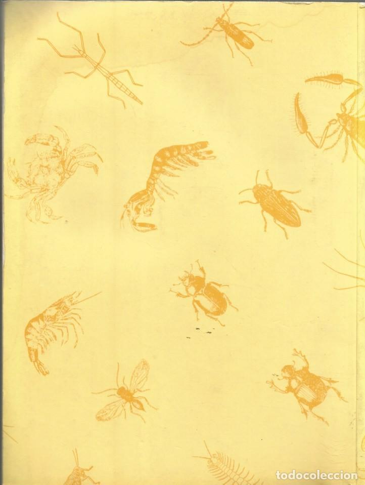 Libros de segunda mano: ZOOLOG&Iacute;A DE INVERTEBRADOS - P.A. MEGLITSCH - Foto 5