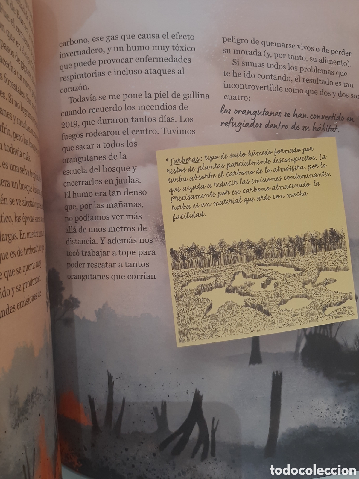 Libros de segunda mano: Los orangutanes y yo - Karmele Llano - Foto 2