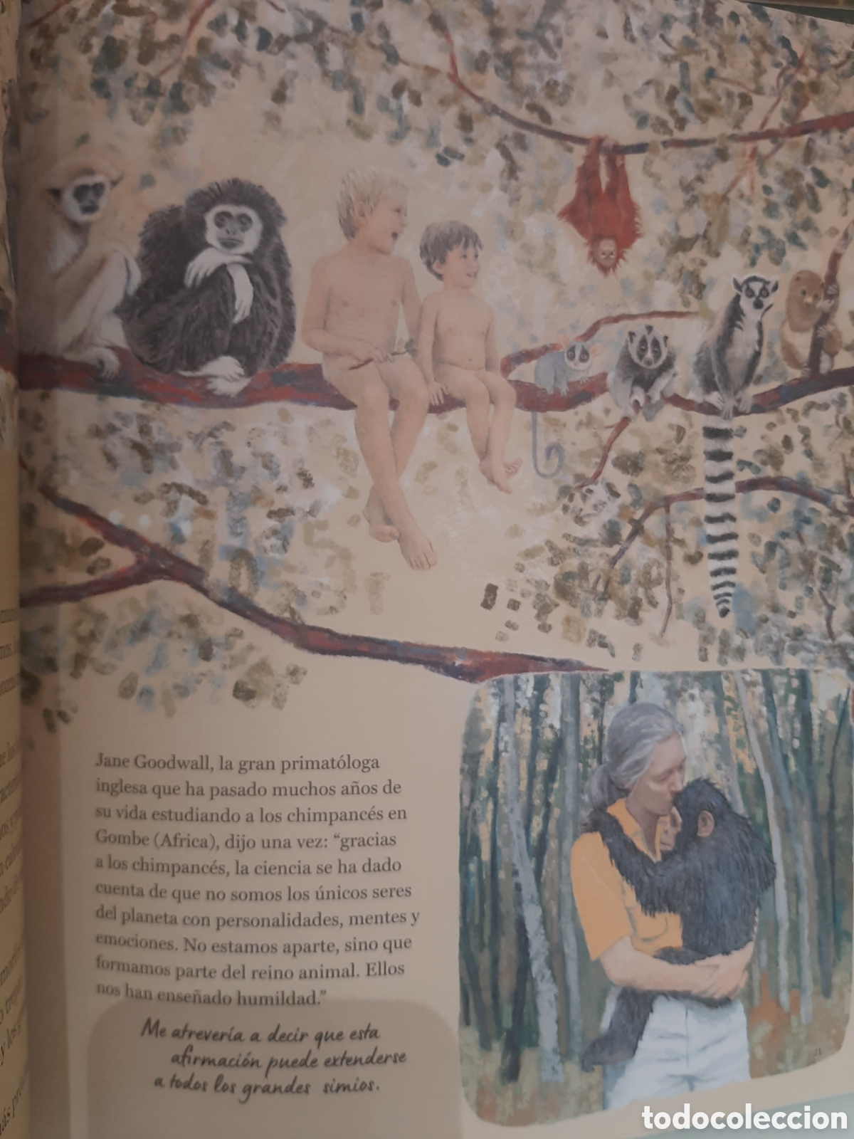 Libros de segunda mano: Los orangutanes y yo - Karmele Llano - Foto 3