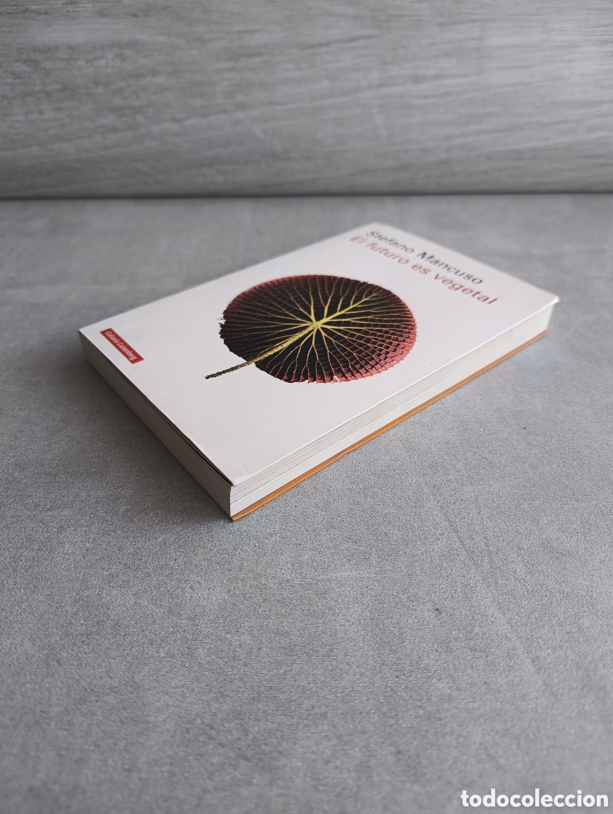 Libros de segunda mano: El futuro es vegetal. Stefano Mancuso. - Foto 7