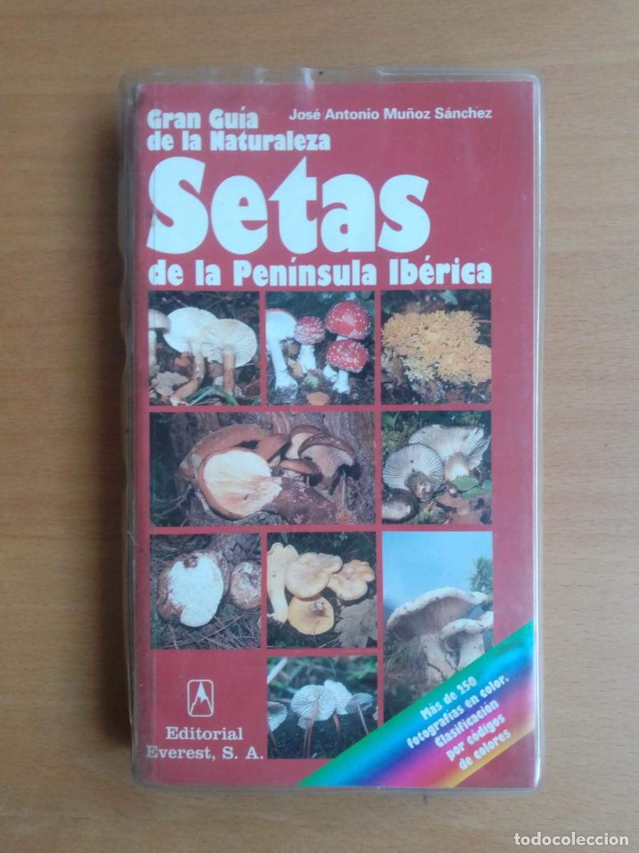 Libros de segunda mano: Setas de la Pen&iacute;nsula Ib&eacute;rica, de Jos&eacute; Antonio Mu&ntilde;oz S&aacute;nchez - Foto 1