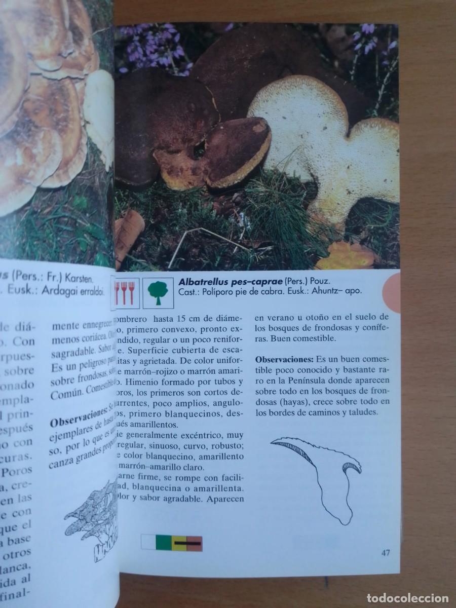 Libros de segunda mano: Setas de la Pen&iacute;nsula Ib&eacute;rica, de Jos&eacute; Antonio Mu&ntilde;oz S&aacute;nchez - Foto 3