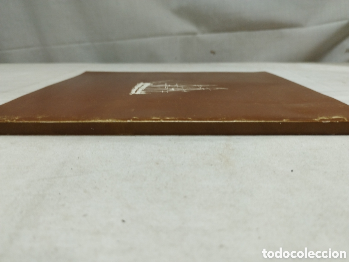 Libros de segunda mano: Darwin: 100 anys. Diputaci&oacute; de Barcelona, 1982 - Foto 3