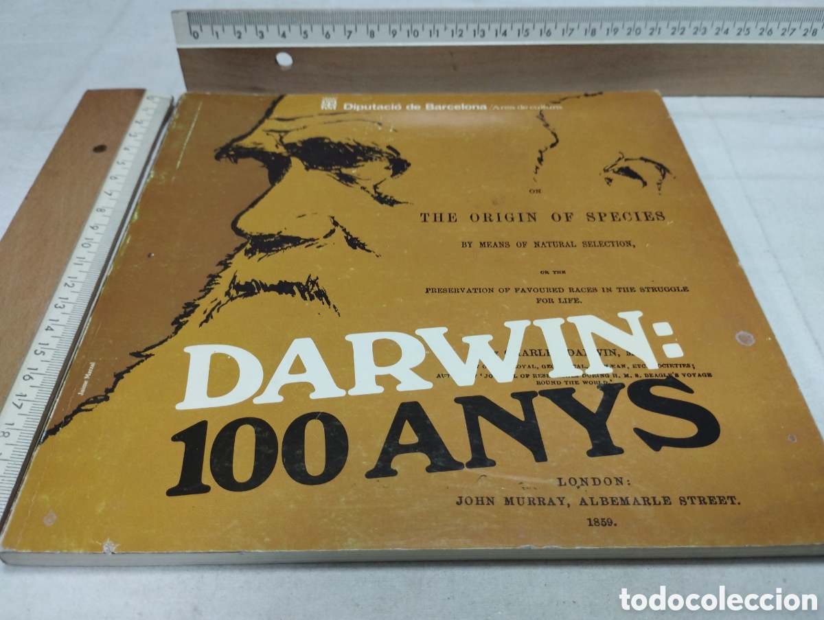Libros de segunda mano: Darwin: 100 anys. Diputaci&oacute; de Barcelona, 1982 - Foto 1
