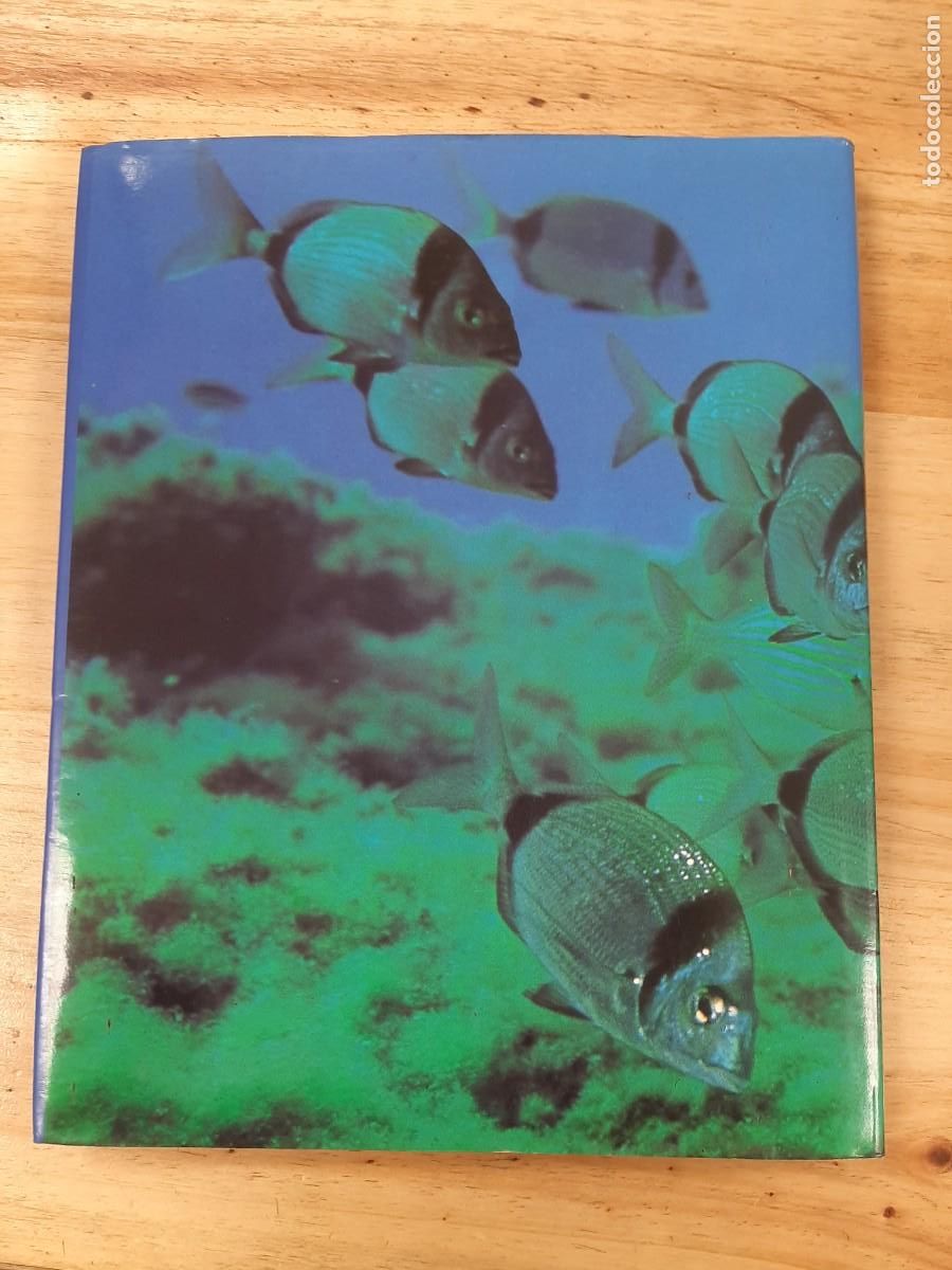 Libros de segunda mano: GALICIA SUBMARINA - VV.AA. - Ed: Lea, 2001 - Foto 3